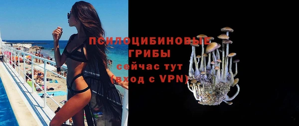 ALPHA PVP Алзамай