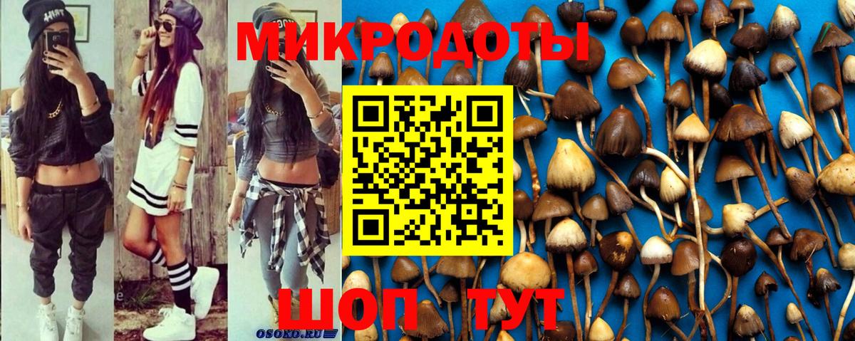 Галлюциногенные грибы прущие грибы  Псилоцибиновые грибы мухоморы  Краснотурьинск  Вход с VPN 